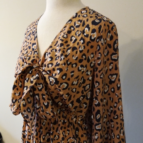 Umgee Animal Print Dress - Picture 9 of 12